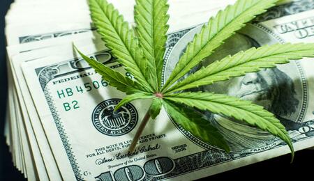 Diese US-Bundestaaten haben Cannabis legalisiert
