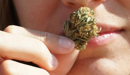 Discover how biological sex and estrogen impact THC sensitivity, tolerance, munchies, and pain relief. Here is how cannabis affects men and women differently.