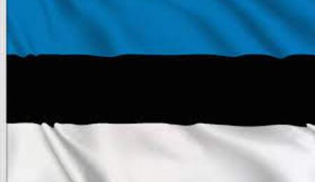 La bandiera dell'Estonia