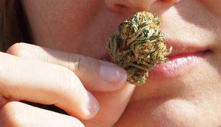 ¿Cómo-no-oler-a-cannabis?