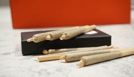 Pre-rolls: Proč tento trend válcuje trh s marihuanou?