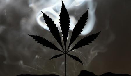 Endocannabinoides: ¿Por qué el cannabis tiene efecto?