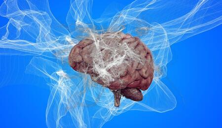 Learn more about the human endocannabinoid system, which consists of cannabis receptors in the brain and immune system, and cannabinoid releases produced by the body itself.