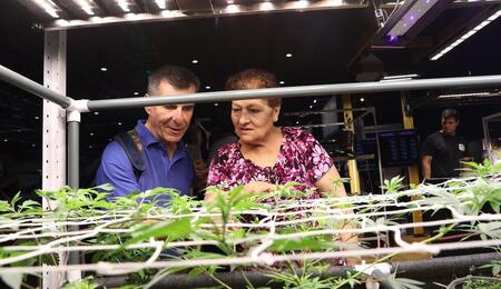 Foto. Expo Cannabis Argentina.