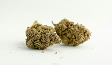Flores de CBD