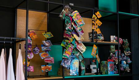 Interior de un grow shop en España mostrando estanterías