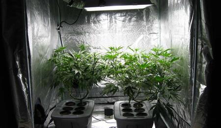 Escoge-la-luz-adecuada-para-tu-indoor