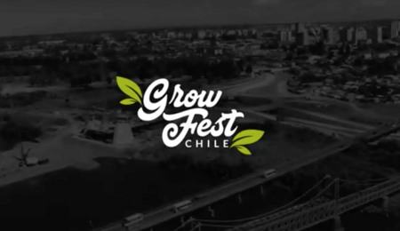 Grow Fest Chile: festival cannábico en Temuco