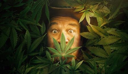 Buon compleanno a Jim Belushi: combatte con la cannabis l’epidemia di oppiacei