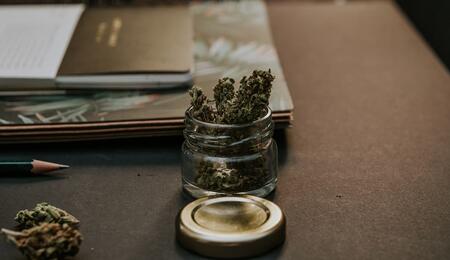 Master your cannabis garden by starting a grow diary. Learn how to track nutrients, environment, and plant health to achieve consistent, high-quality harvests.