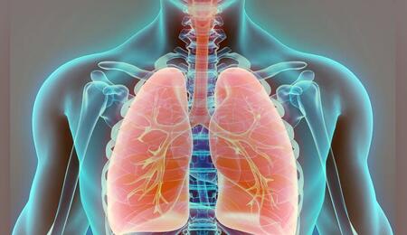  Can you keep your lungs healthy while smoking weed? Explore ways to reduce lung irritation, the science of cannabis smoke, and exercises to clear your lungs. 