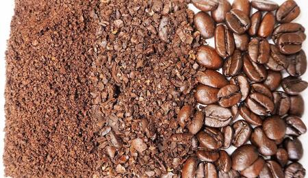 Explore how spent coffee grounds can boost your cannabis garden. Learn the benefits, safe usage methods and composting tips for organic soil enrichment.