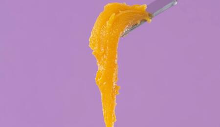 illustrative photo of sticky yellow cannabis extract on a dabber against a purple background. 