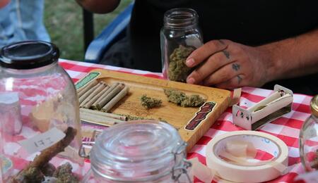 Sales of both recreational and medical cannabis products on Arizona’s state market have fallen compared to 2024. See full report on retail and job numbers. 