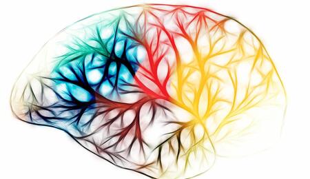 Ever wondered why weed gets you high? Explore how THC interacts with your body’s endocannabinoid system, CB1 receptors, and why everyone feels it differently. 