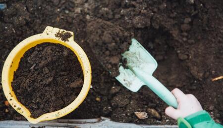 how to prepare worm castings organic fertilizer.
