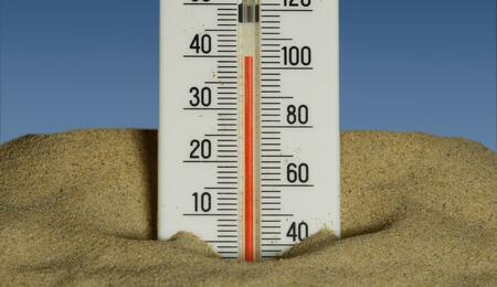 Extreme heatwaves can destroy a cannabis harvest. Learn advanced strategies to combat water stress, thermal shock, and root damage in summer weed crops.