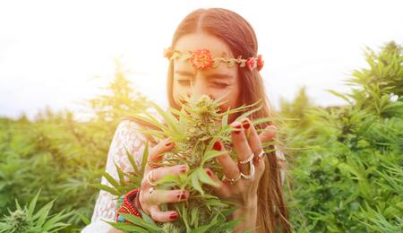 I terpeni della cannabis più interessanti