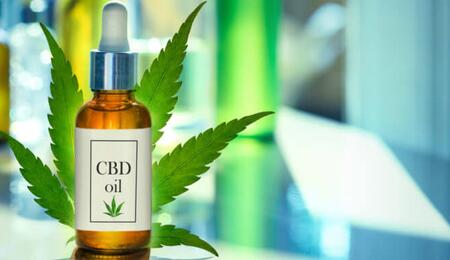 Le cannabis CBD bientôt interdit dans les shops ?