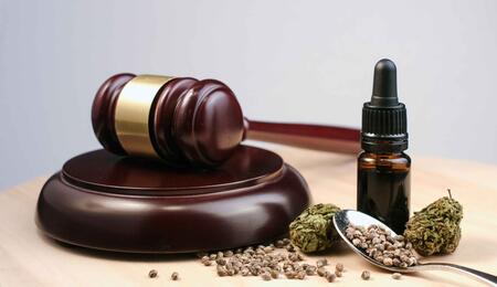Dal Metodo Di Bella alla Cannabis medica, breve storia della legge 94/98