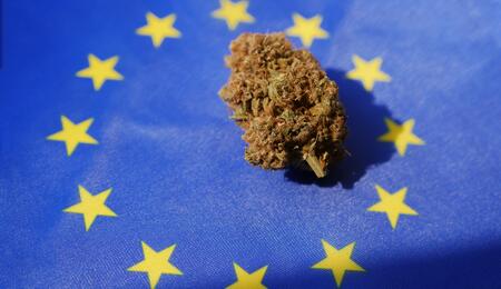Eurocannabis