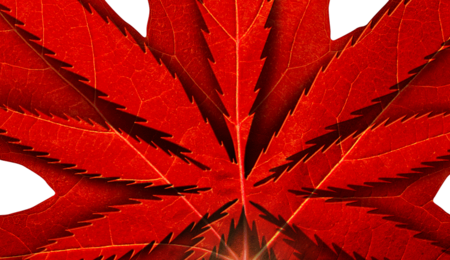 Canada e Cannabis