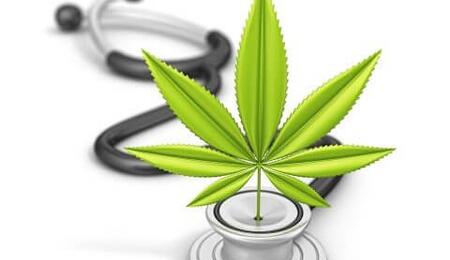 Medicinaal Cannabis Nieuws - Normaliseer cannabis