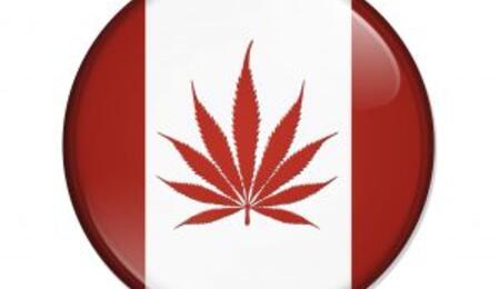 Canada e Marijuana