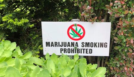 sign against marijuana. 