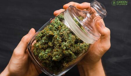 Cannabis Consumer Analysis Shows 78% Prioritize Discretion in Consumption Methods