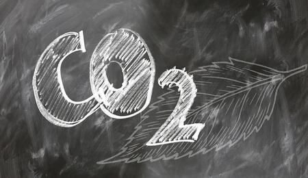 Find out more about the use of CO2 to increase cannabis yields. Explore tanks, burners, and biological CO2 sources for sealed indoor grow rooms and greenhouses.