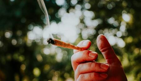CannabCo launches Odourless OG in Ontario, creating a new product category of high-potency cannabis flower engineered to burn without lingering smell.