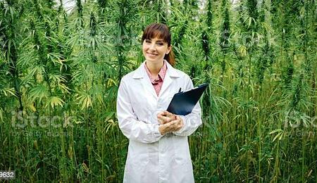 Dottore Cannabis