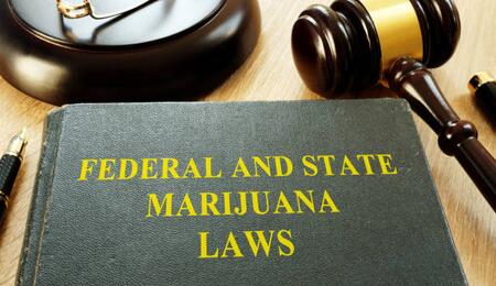 MedCanG - Das geplante Gesetz für medizinisches Cannabis 