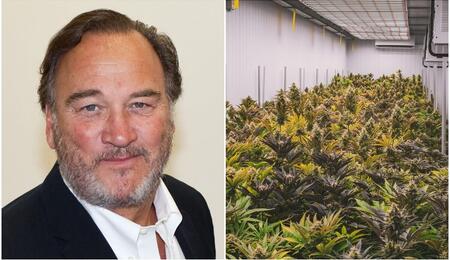 Jim Belushi cannabis farming journey.