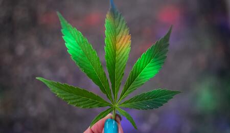 Addio hippies e Bob Marley: è arrivata  una nuova estetica per la cannabis