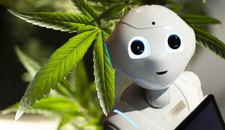 L’intelligenza artificiale può prevedere l’impatto della cannabis sulla salute mentale?