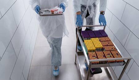 Facing an upcoming workplace drug test? Learn about the essential regulatory rules, testing windows, cutoff levels, and your legal rights as an employee.