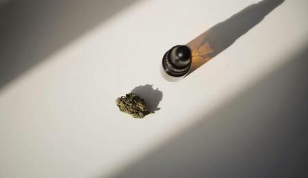An investigation by The Denver Gazette and ProPublica highlights why regulatory speed, botanical standardization, and safety matter in legal cannabis. 