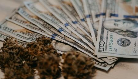 Maine recreational cannabis market profits for 2023