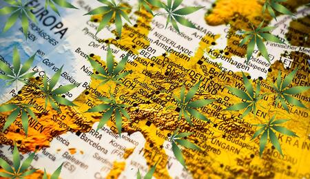 La cannabis è ancora la droga più usata in Europa?
