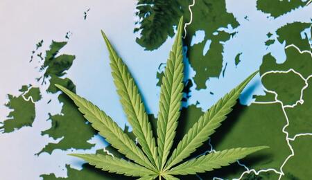 Mapa comparativo de la legalidad del cannabis en Europa: contraste entre las zonas verdes (Alemania, Portugal) y la ambigüedad gris de España bajo la Ley Mordaza.