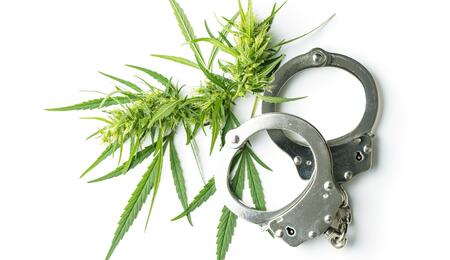 marijuana flower buds and handcuffs.
