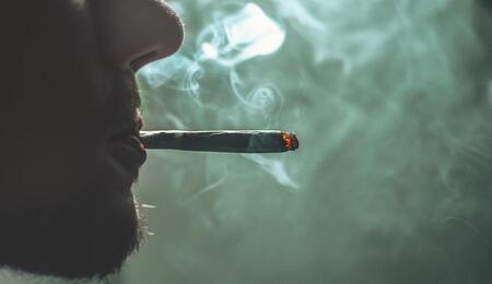 Everything You Need to Know About Marijuana Smell