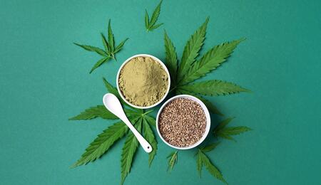 medical cannabis seeds. 