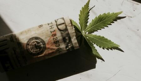 Michigan Gov. Gretchen Whitmer signed a 24% wholesale tax intended to fund state roads repair initiatives, but the plan is set to blow cannabis market growth.