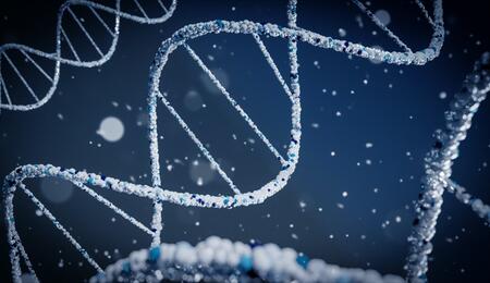 konopí a DNA