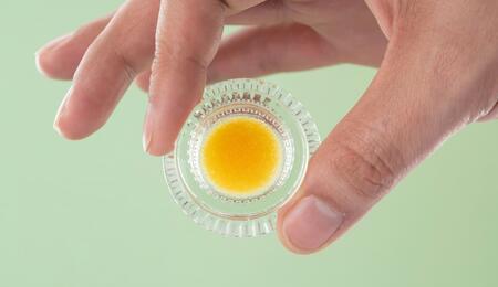 Demystify cannabis concentrates. From creamy badders to summer live rosin trends, here is everything a recreational consumer needs to know about their dabs.