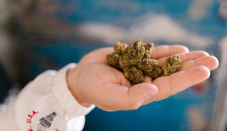 NYC: del comercio despersonalizado al cannabis local con agricultores.