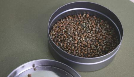 what's the nutritional value of hemp cannabis seeds?